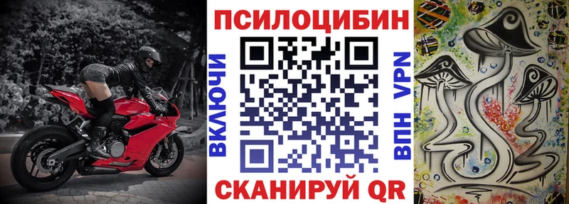 Купить где  Шахты  Псилоцибиновые грибы мицелий 