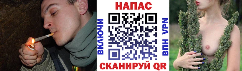 Бошки марихуана индика  Купить закладки  Шахты 